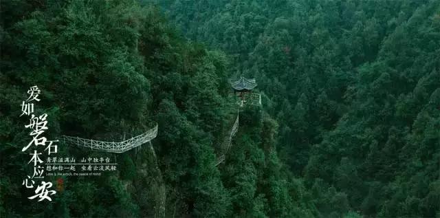 燃烧吧大脑免广告最新版