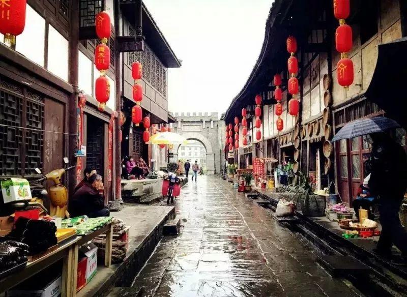 枸杞和它一起泡,坚持每天喝,排净肝毒,帮助身体“大扫除”